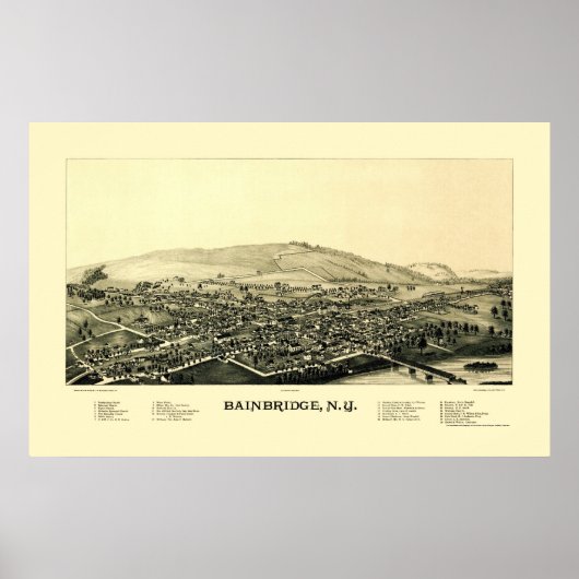 Bainbridge, NY Panoramic Map - 1889 Poster (Vorne)