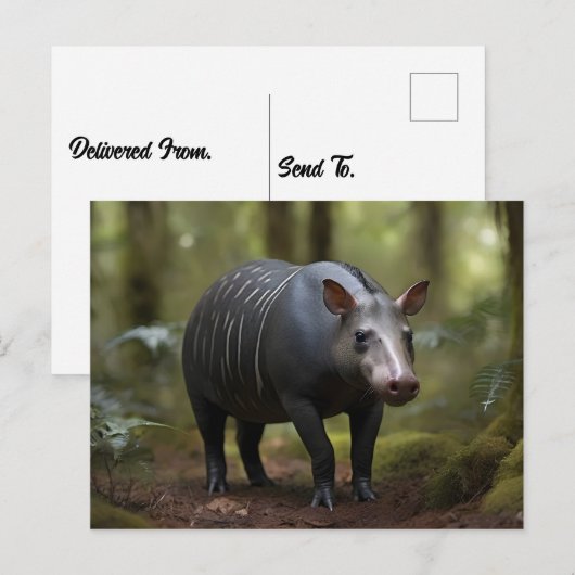 Baird-Tapir im Wald Postkarte (Vorne/Hinten)