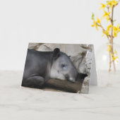 Bairds Tapir-Gruß-Karte Karte (Gelbe Blume)