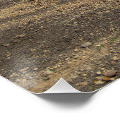 Baiting Reservoir Poster (Ecke)