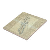 Baja California, Mexiko Fliese (Seite)