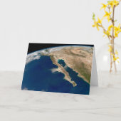 Baja California und die Pazifikküste von Mexiko. Karte (Gelbe Blume)