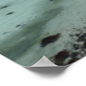 Baja Conception Bay Poster (Ecke)