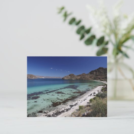 Baja Conception Bay Postkarte (Stehend Vorderseite)