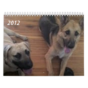 Baja/Herkules Kalender