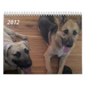 Baja/Herkules Kalender (Titelbild)