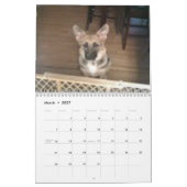 Baja/Herkules Kalender (Mär 2027)