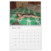 Baja/Herkules Kalender (Feb 2027)