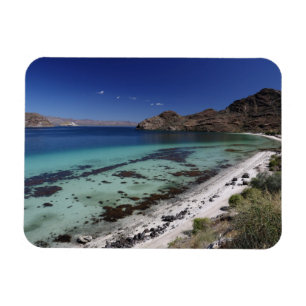 Baja Konzeptions-Bucht Magnet