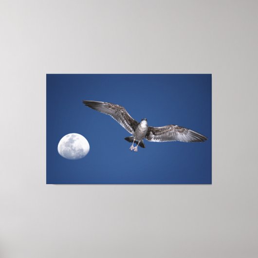 BAJA MOON FLIGHT 40x60 Leinwanddruck (Vorderseite)
