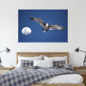 BAJA MOON FLIGHT 40x60 Leinwanddruck (Insitu (Schlafzimmer))
