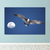 BAJA MOON FLIGHT 40x60 Leinwanddruck (Insitu (Holzboden))