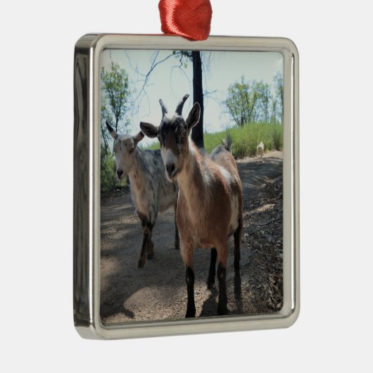 Baka & LuLit, Happy Goats Ornament (Rechts)