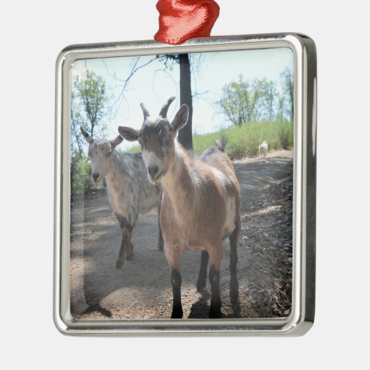 Baka & LuLit, Happy Goats Ornament (Links)