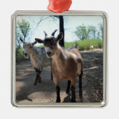 Baka & LuLit, Happy Goats Ornament Aus Metall (Vorne)