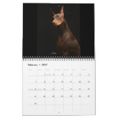 Bakari Dobermann 2008 Kalender (Feb 2027)