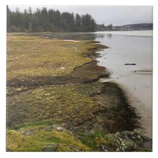 Baker Bay, Cape Enttäuschung, Washington Fliese (Vorderseite)