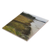 Baker Bay, Cape Enttäuschung, Washington Fliese (Seite)