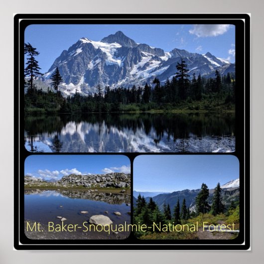 Baker-Snoqualmie National Forest Collage Poste Poster (Vorne)