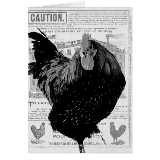 Baker's Special Poultry (Vorne)