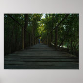 Bakhawan Boardwalk Poster (Vorne)