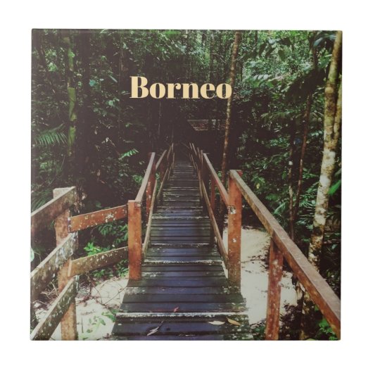 Bako Nationalpark - Borneo Fliese (Vorderseite)