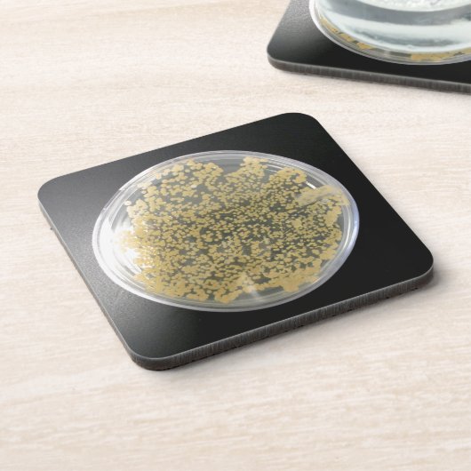 Bakterielle Kulturplatten Untersetzer (Linke Seite)