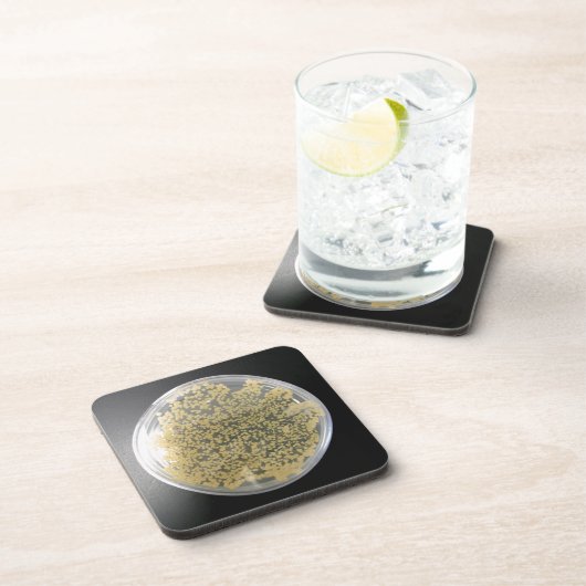 Bakterielle Kulturplatten Untersetzer (Rechte Seite)