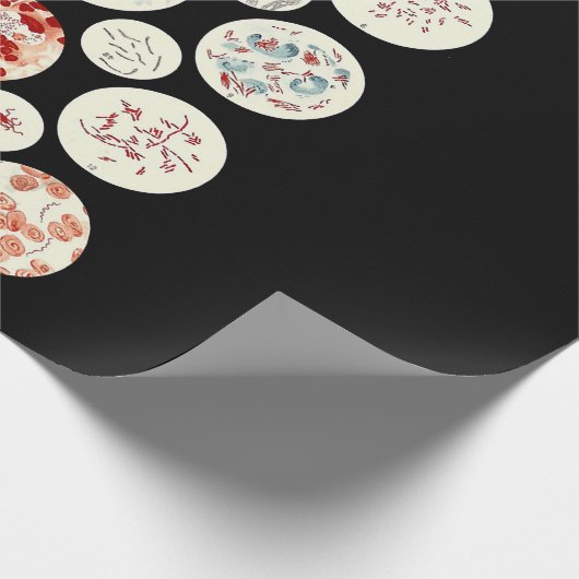 Bakterien aus der Mikrobiologie winzig Geschenkpapier (Ecke)