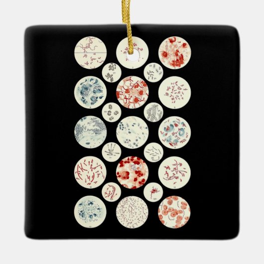 Bakterien aus der Mikrobiologie winzig Keramikornament (Vorderseite)