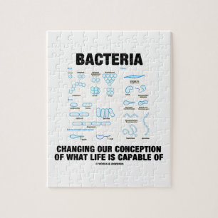 Bakterien, die unsere Konzeption ändern, welches Puzzle
