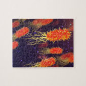 Bakterien-Flagella Puzzle (Horizontal)