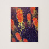 Bakterien-Flagella Puzzle (Vertikal)