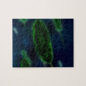 Bakterien-Mikroben Puzzle (Horizontal)