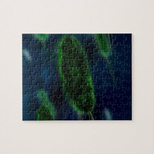 Bakterien-Mikroben Puzzle (Horizontal)