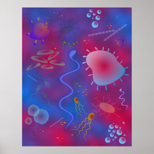 Bakterien Poster