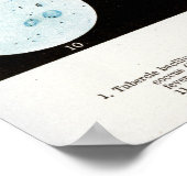 Bakterien Poster (Ecke)