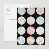 Bakterien Postkarte (Vorne/Hinten)