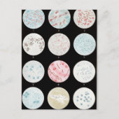 Bakterien Postkarte (Vorderseite)