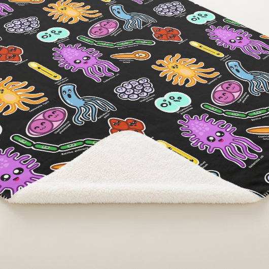 Bakterienarten Sherpadecke (3/4)