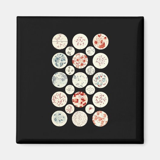 Bakterienmikrobiologie winzig magnet (Vorne)