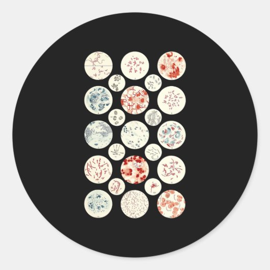Bakterienmikrobiologie winzig runder aufkleber (Vorderseite)