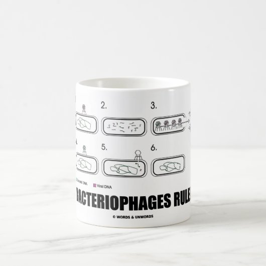 Bakteriophage-Regel! (Bakterien-Virus DNS) Kaffeetasse (Mittel)
