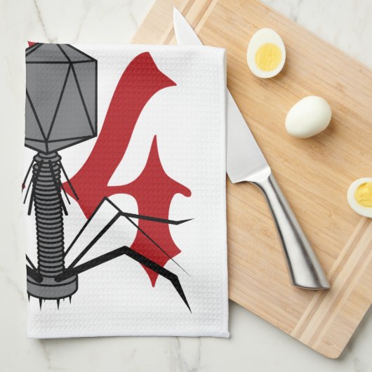 Bakteriophage T4 Handtuch (Viertel Falte)