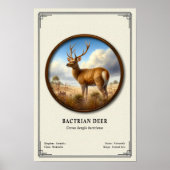 Baktriahirsch-Zoologie-Serie Poster (Vorne)