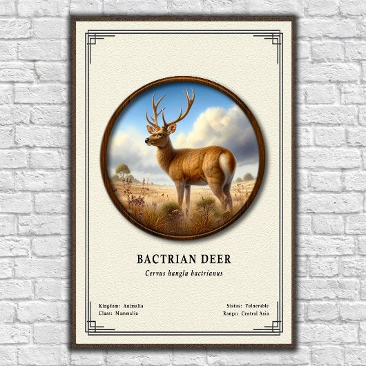 Baktriahirsch-Zoologie-Serie Poster