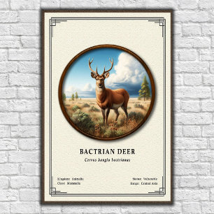 Baktriahirsch-Zoologie-Serie Poster