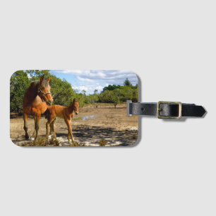 Balance Gepäckanhänger