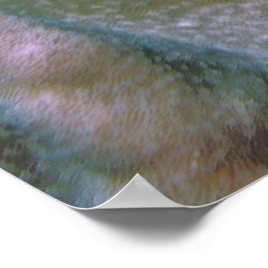 Balanced Lizardfish Poster (Ecke)