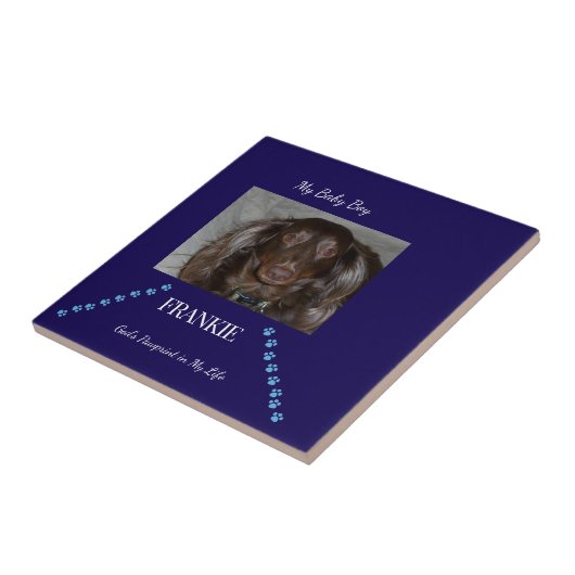 Balanced Pawprint Blessing Keepsake Fliese (Seite)